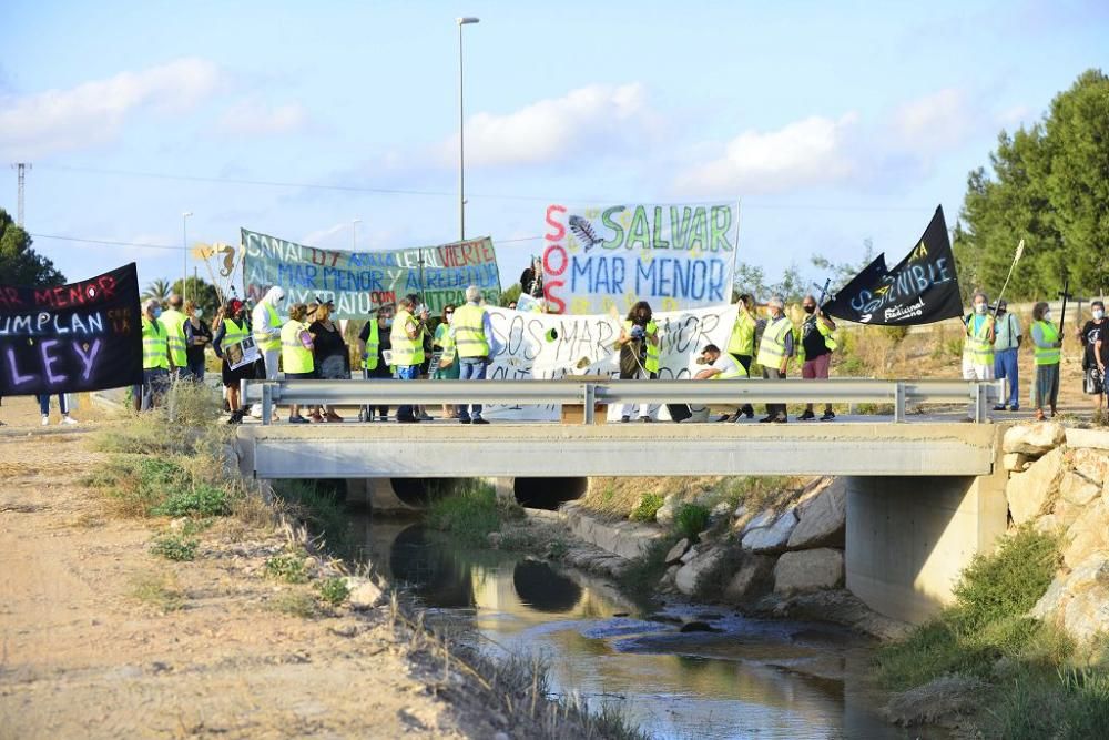 Manifestación en Los Alcázares por el ecocidio del Mar Menor