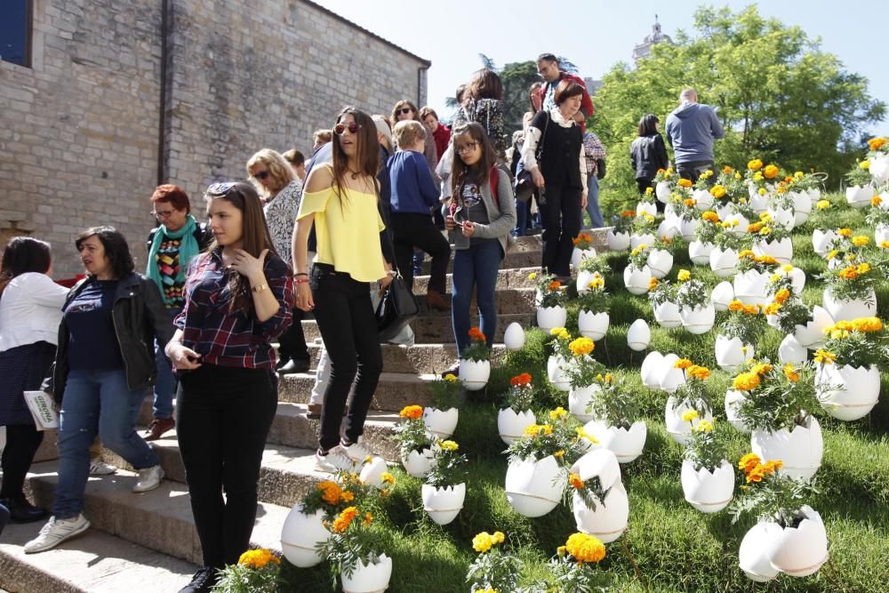 Últim dia de Temps de Flors