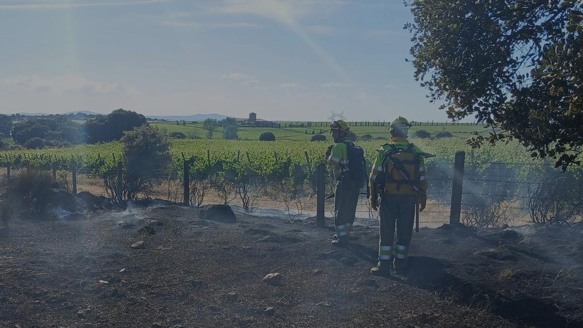 Bomberos trabajan en las labores de extinción del incendio forestal.