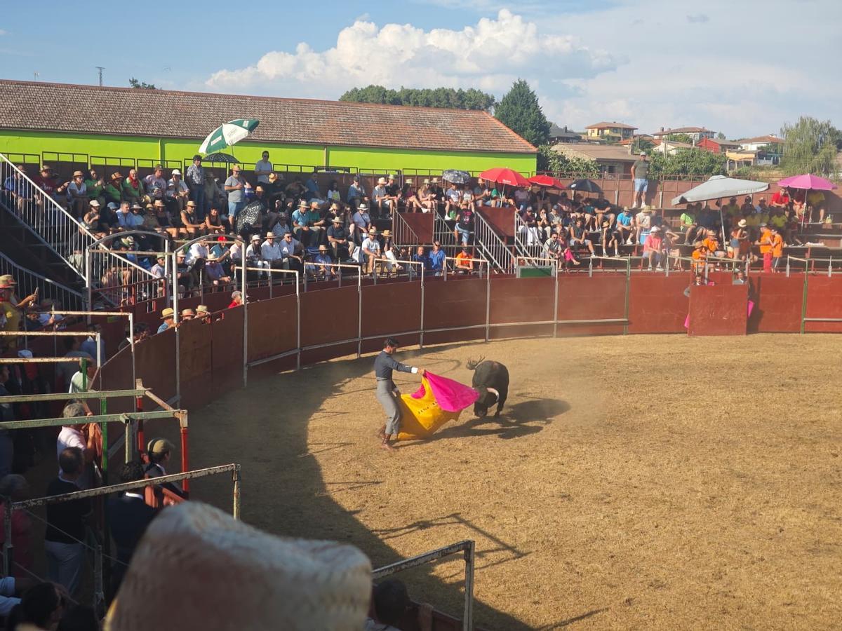 GALERÍA| Tarde de toros en Alcañices