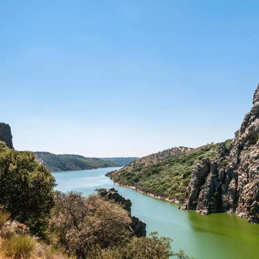 Parece la sabana africana, pero es Cáceres: la dehesa donde pastan ciervos y planean buitres negros al atardecer
