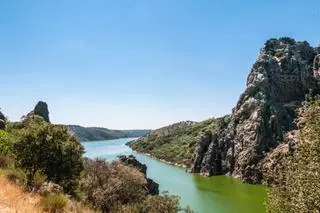 Parece la sabana africana, pero es Cáceres: la dehesa donde pastan ciervos y planean buitres negros al atardecer