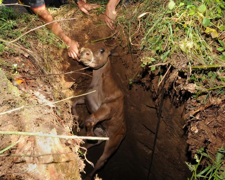 Un rescate que puede salvar otras vidas