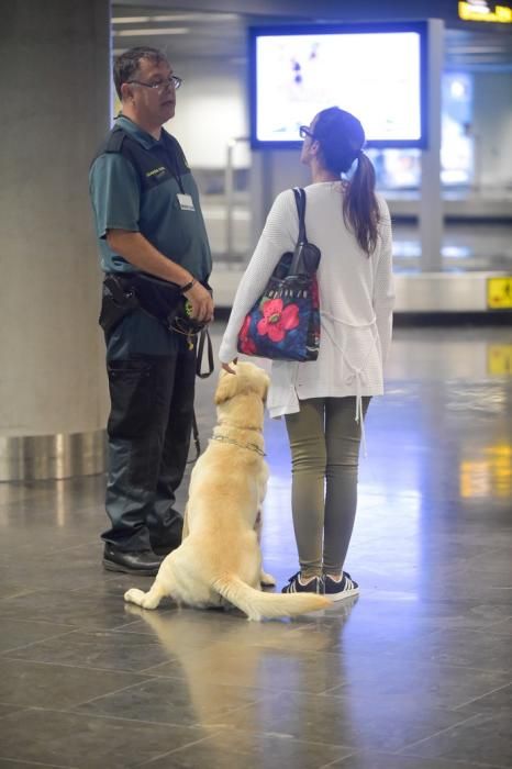 REPORTAJE UNIDAD CANINA AEROPUETO DE GRAN CANARIA