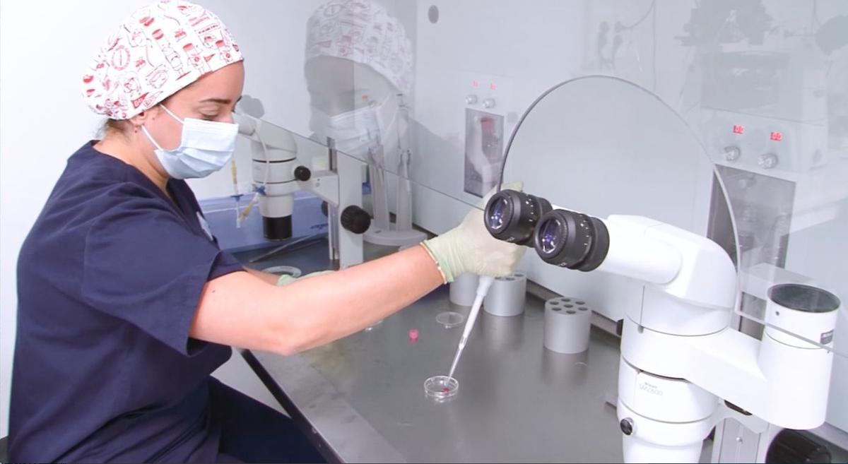 El grupo UR realiza actualmente más de 11.000 ciclos de reproducción en España