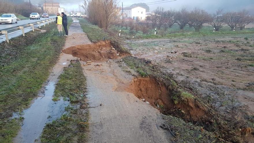 Esvorancs a la via verda entre Bescanó i Vilanna