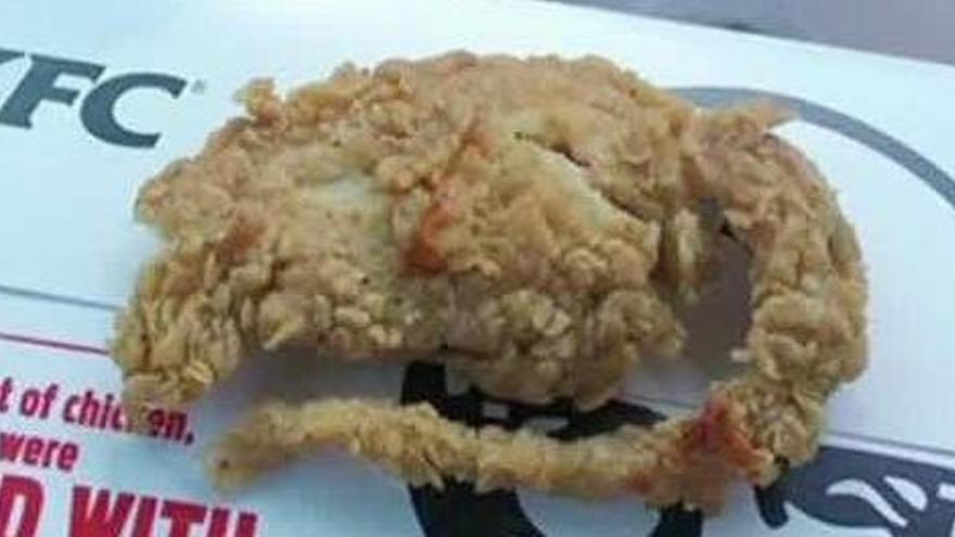 Qué era la supuesta 'rata empanada' de KFC? - La Opinión de Murcia