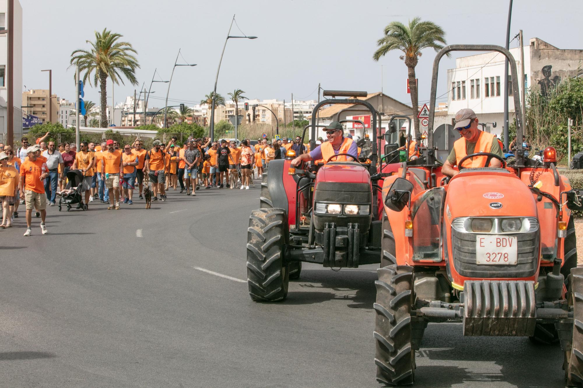 Unas 200 personas se manifiestan en Ibiza contra la nueva Ley de Bienestar Animal del Gobierno