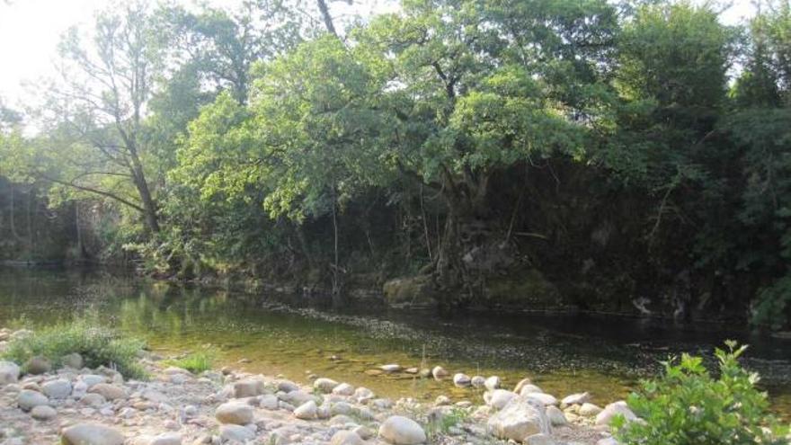 El pozo de El Llerón de Antrialgo.