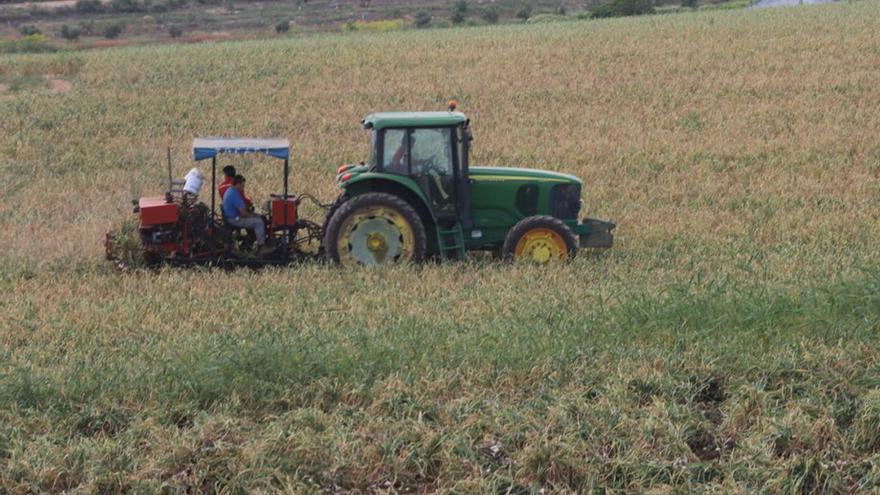 La Junta de Andalucía pide rebajar un 50% el IRPF al campo por la sequía