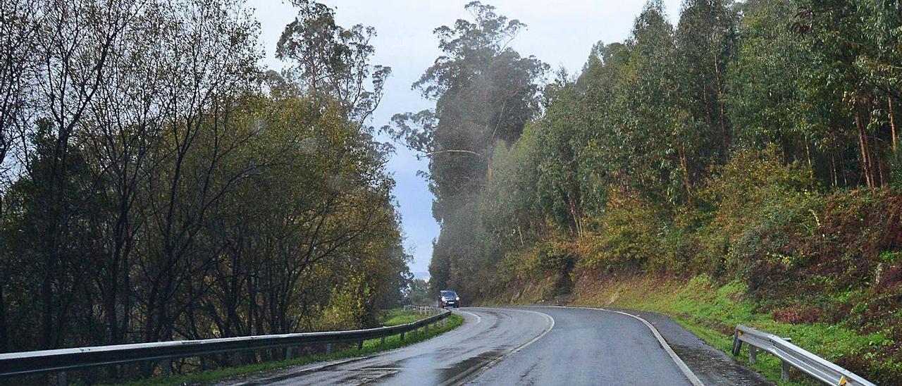 Carretera PO-551 en uno de los tramos por donde discurrirá la nueva senda peatonal. |   // GONZALO NÚÑEZ