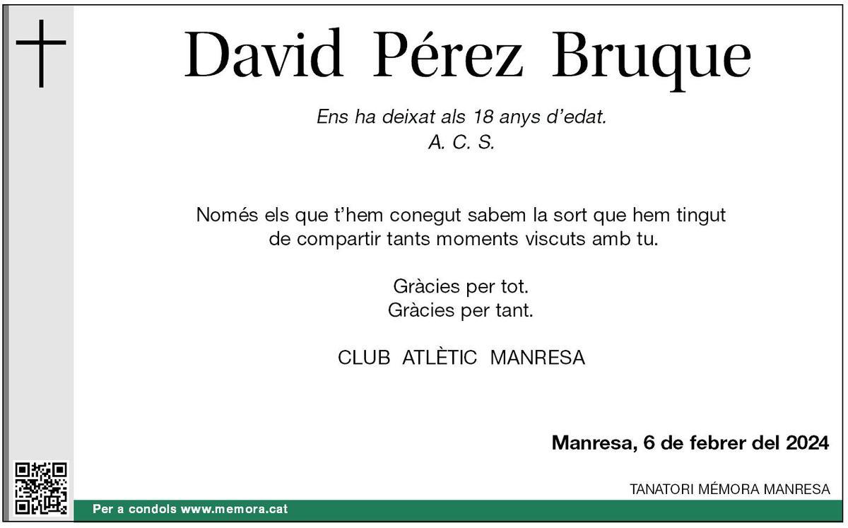 DAVID  PÉREZ BRUQUE