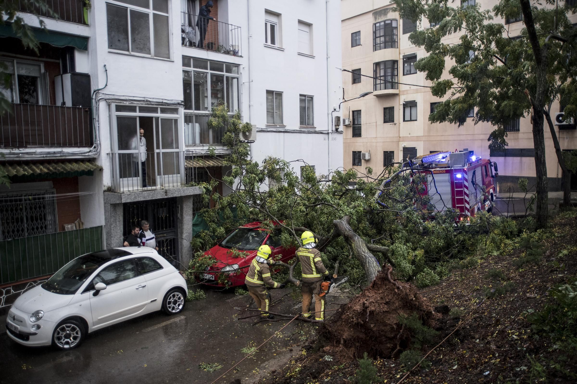 Fotogalería | Así afecta el temporal de lluvia y viento en Cáceres