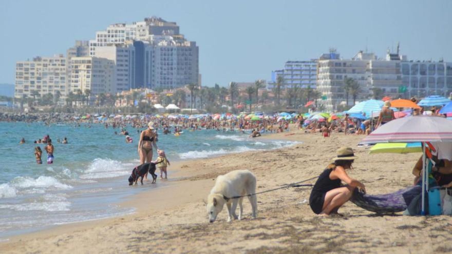 Aquests són els municipis de l&#039;Alt Empordà que tindran platja per a gossos aquest estiu