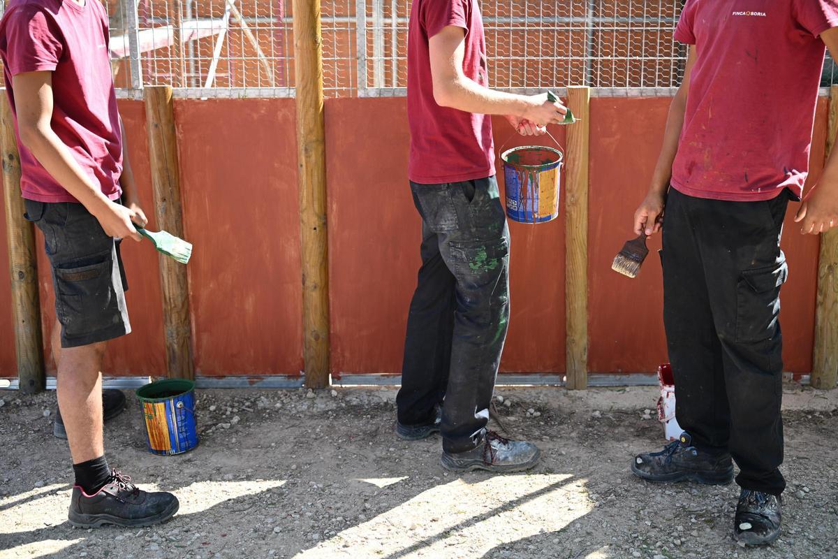 Los menores aprenden a realizar todo tipo de labores desde pintura hasta albañilería.
