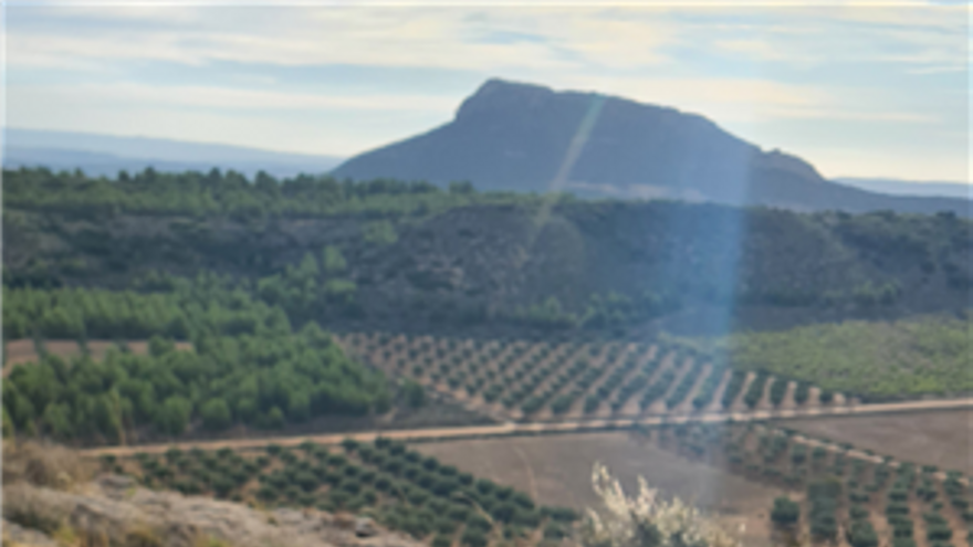 Abstracción del paisaje