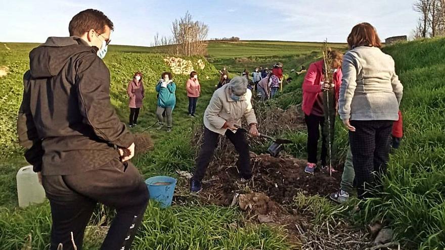 Participantes en la actividad de la asociación preparan el terreno. | Cedida