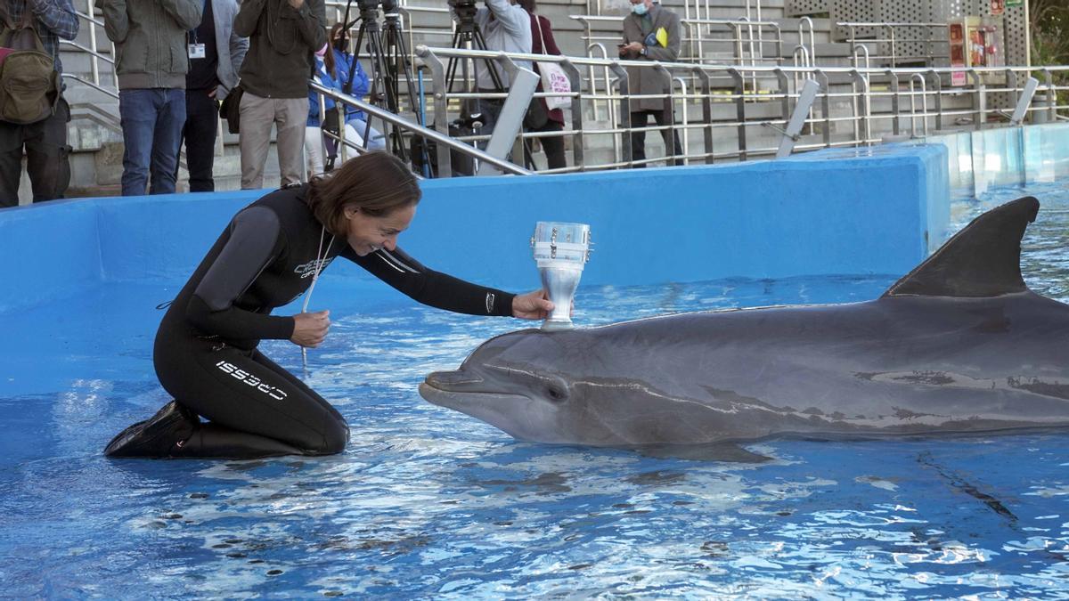 Actividad con uno de los delfines del recinto.