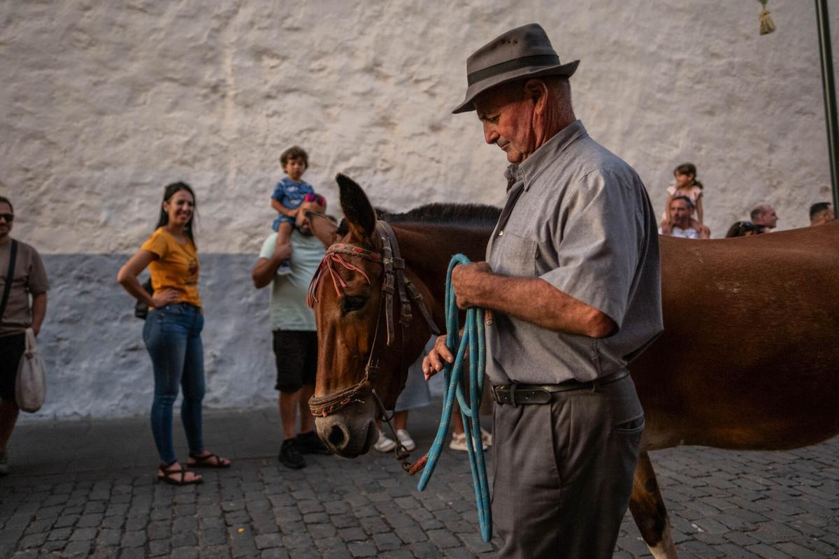 Noche de los Burros en La Laguna