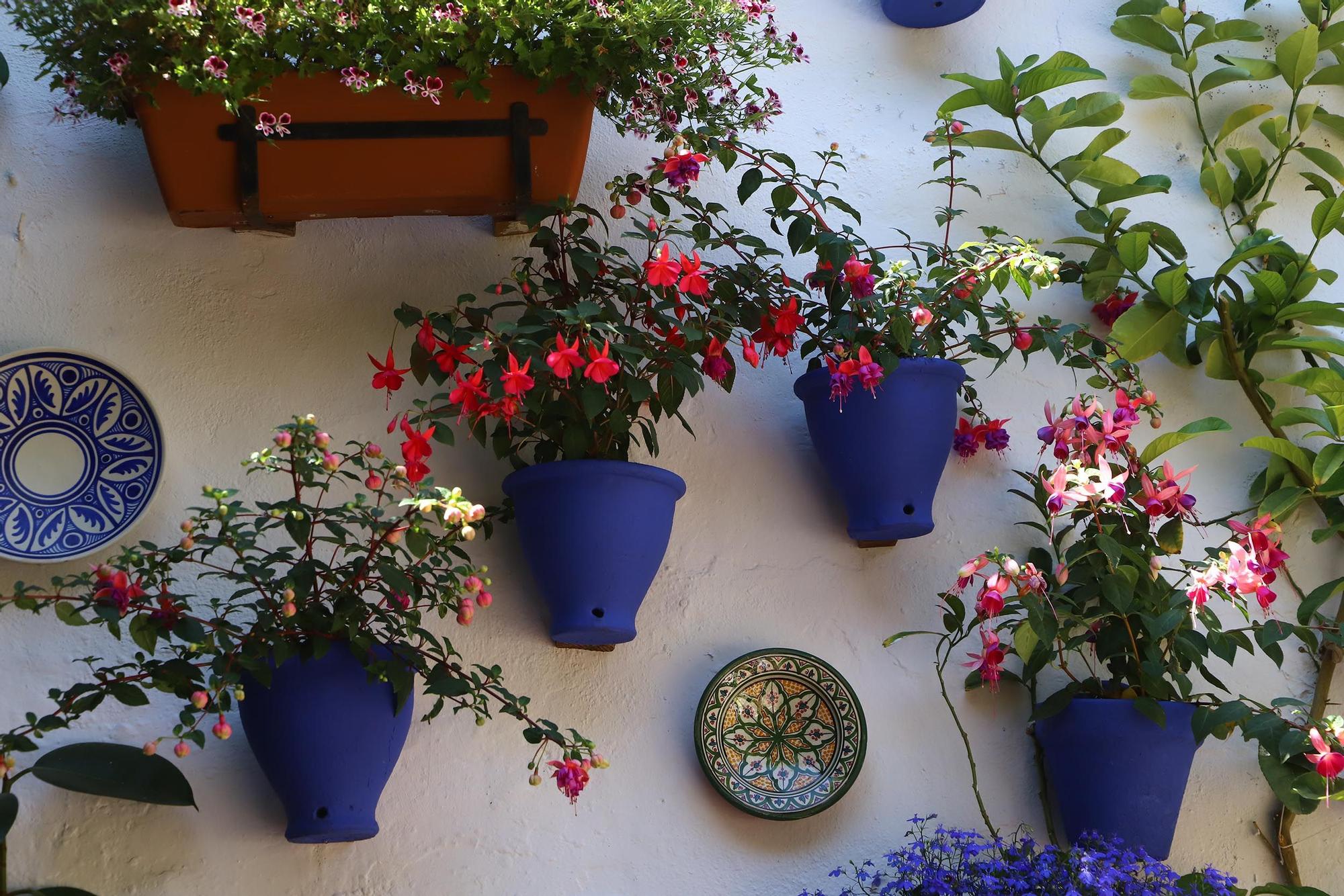 Largas colas en el primer sábado de patios