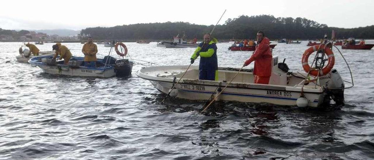 Barcos en la campaña de libre marisqueo en Os Lombos do Ulla. // Noé Parga