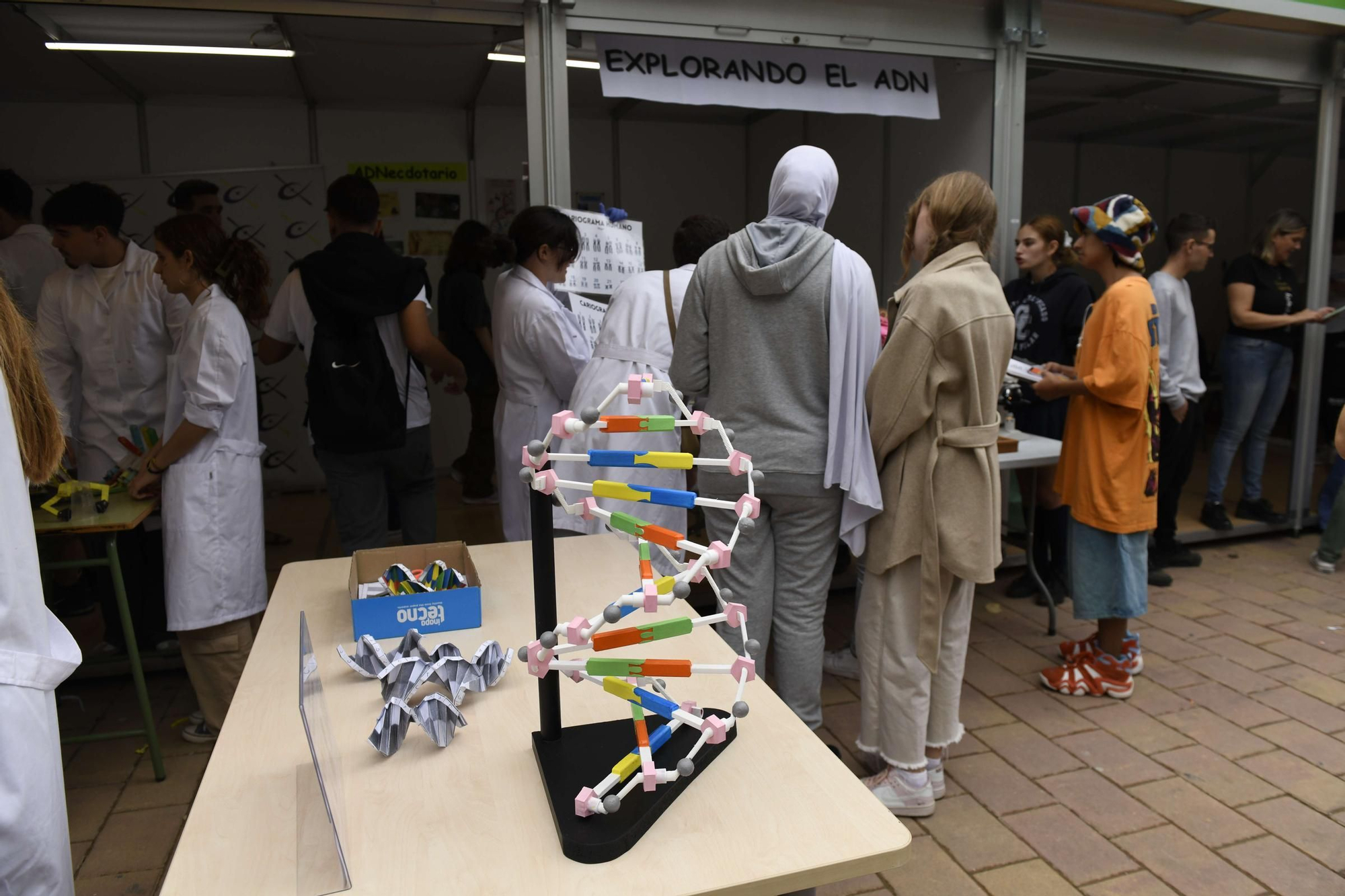 La primera jornada de la Semana de la Ciencia de Murcia, en imágenes
