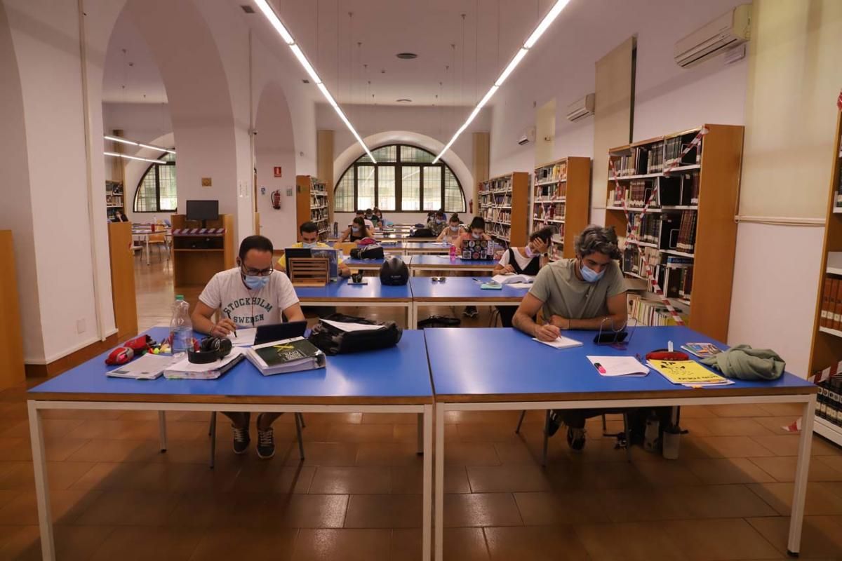 La Biblioteca Provincial reabre en solitario