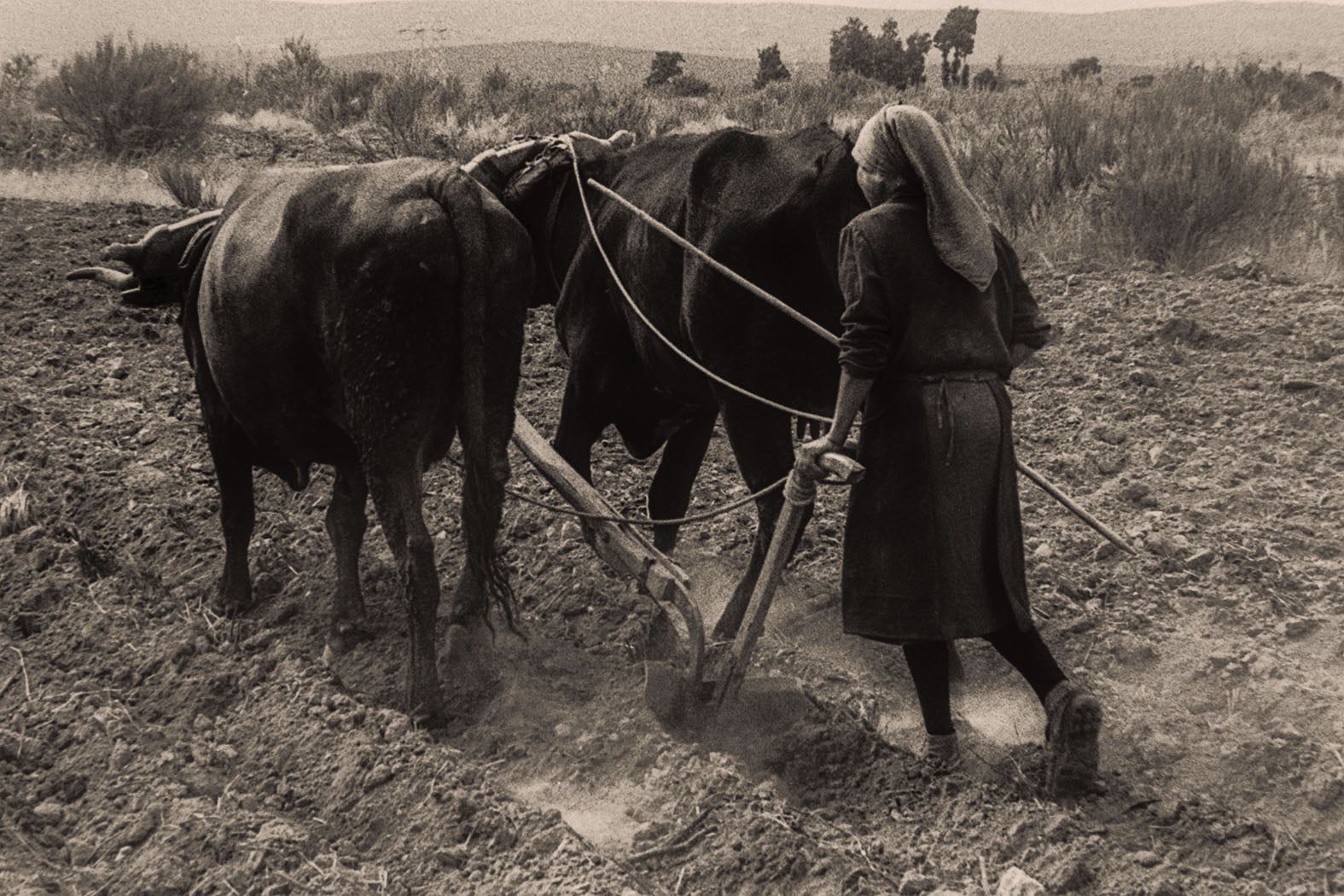 La Sra. Pepa, San Salvador de Palazuelo (Zamora). 1978.jpg