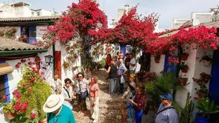 Estos son los 63 recintos que puedes visitar en la Fiesta de los Patios de Córdoba 2024