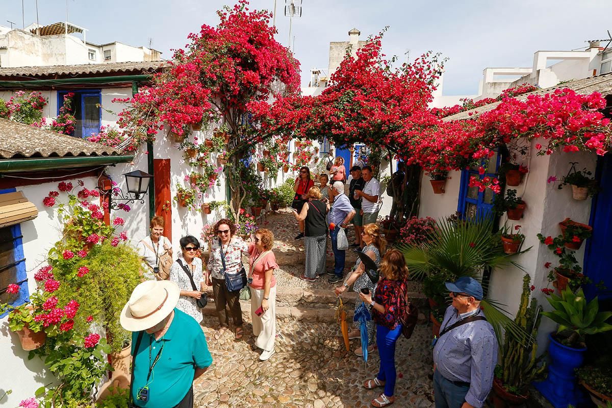 2º Antigua Marroquíes 6