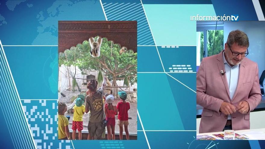 Javier Zapata. director de marketing de Terra Natura: "Aprender sobre los animales en una escuela de verano como esta es increíble"