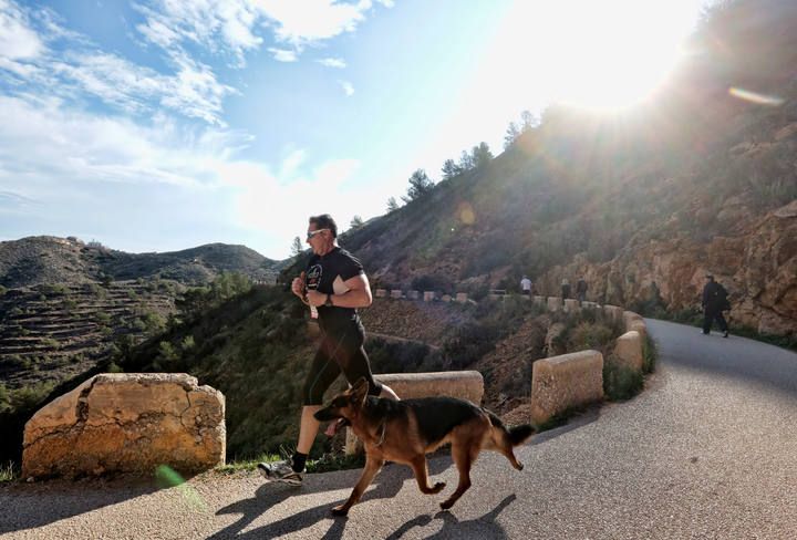 «Running» solidario con perros por l'Alfàs del Pi