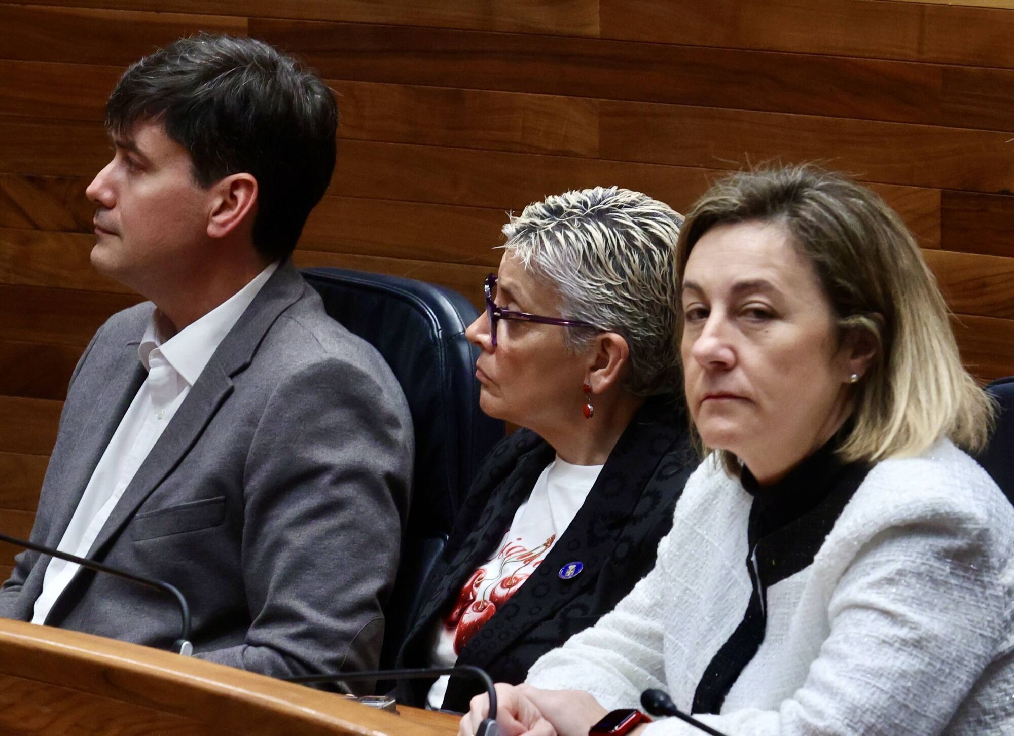 Así fue la sesión de control al Gobierno en la Junta del Principado