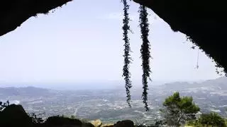 Mucho más que un paseo: la ruta de senderismo que combina aventura, historia y deporte en la provincia de Alicante