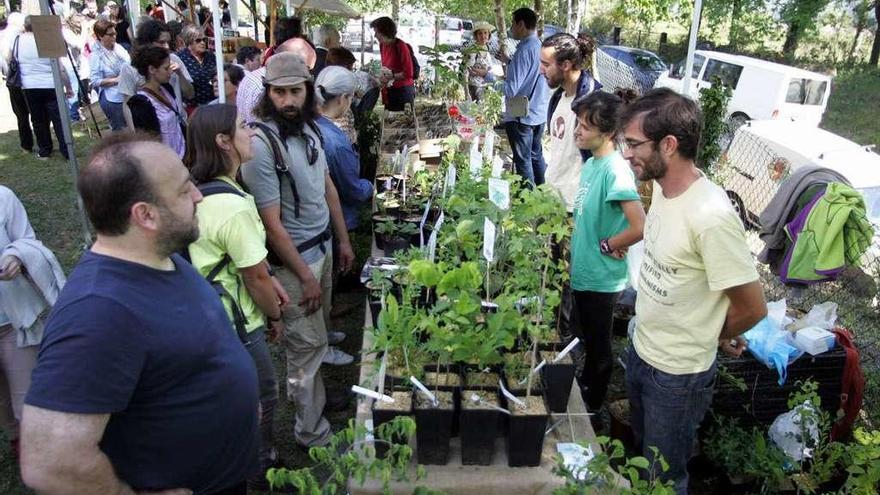 Además de plantas y semillas, en la feria hubo varios puestos de comida. // Bernabé/Luismy