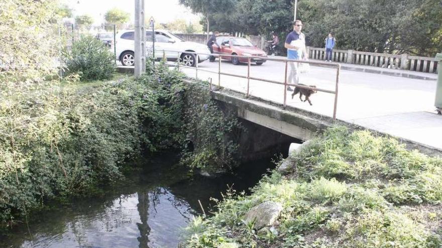 Curso bajo del río de A Fraga con maleza acumulada que estrecha el cauce. // Santos Álvarez