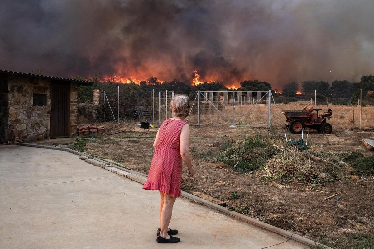 Incendio de Losacio, en Zamora.