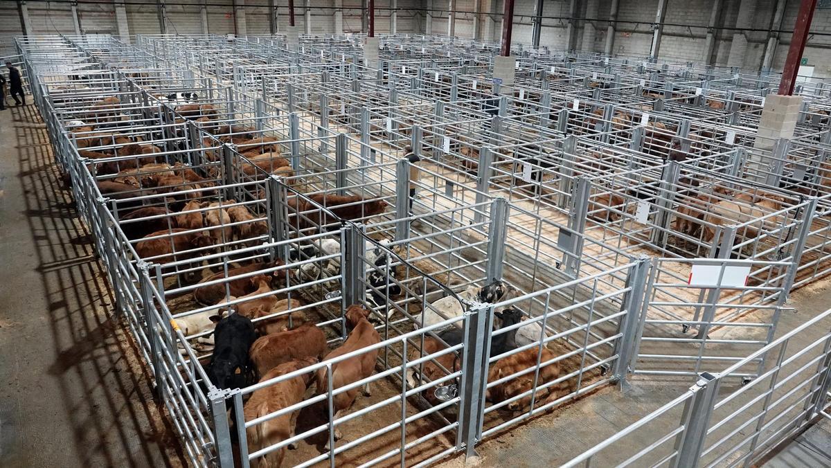 Nuevo pabellón de la Central Agropecuaria de Galicia Abanca