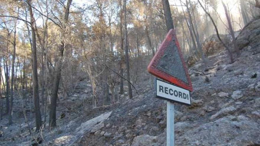 El incendio de la Serra podría quedar controlado este miércoles