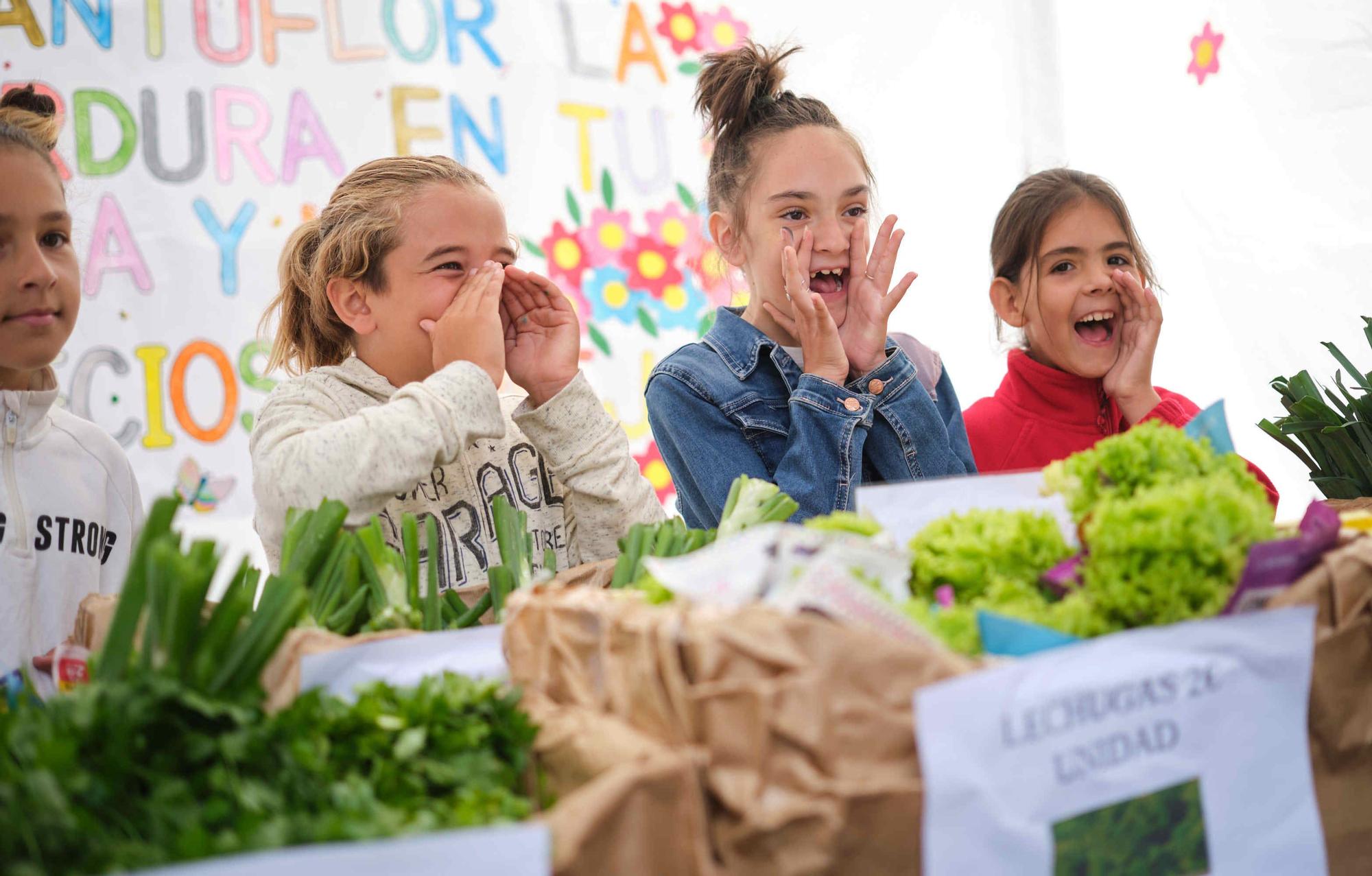 X Feria de Cooperativas Escolares en Tenerife