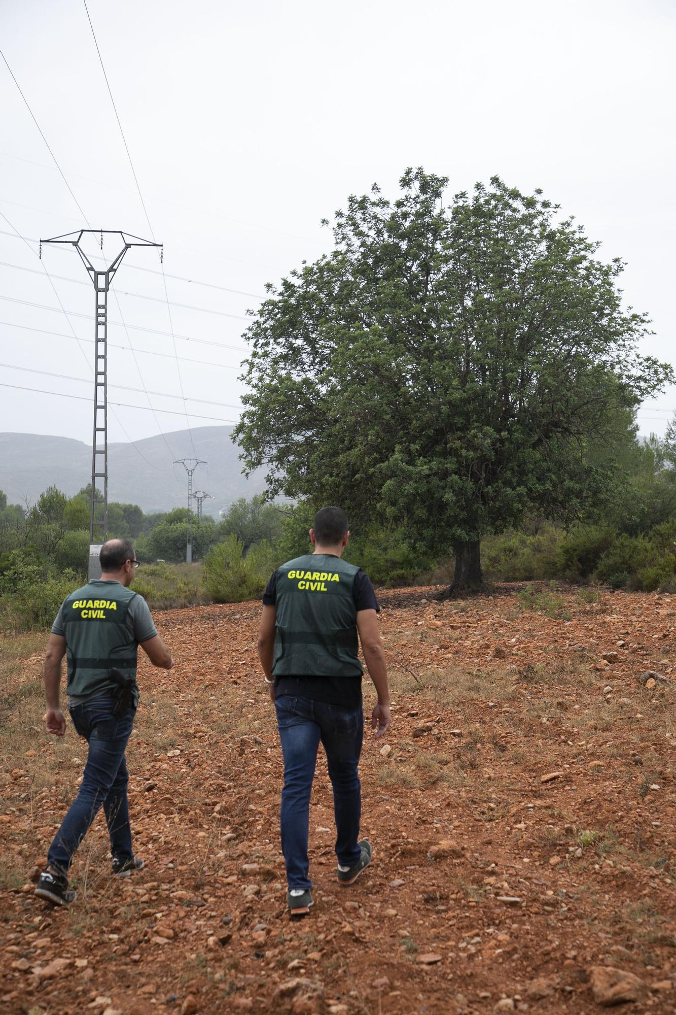 El equipo ROCA de la Guardia Civil vigila los delitos cometidos en el campo