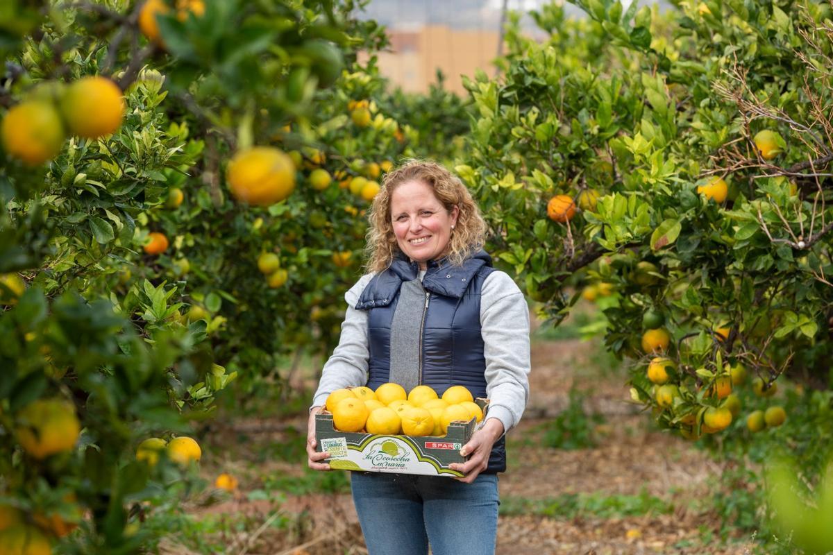 SPAR Gran Canaria impulsa el consumo de las naranjas de Telde cultivadas en las fincas del municipio