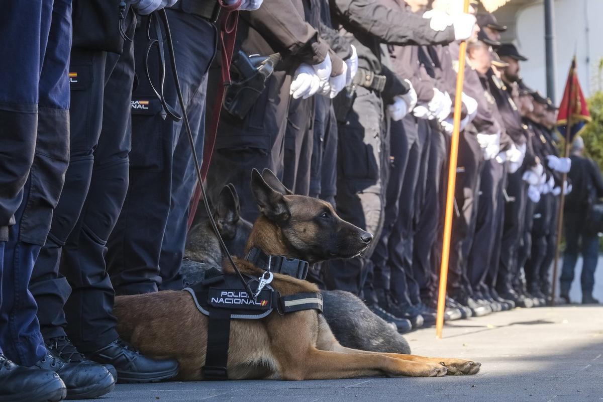 Aniversario de la Policía Nacional