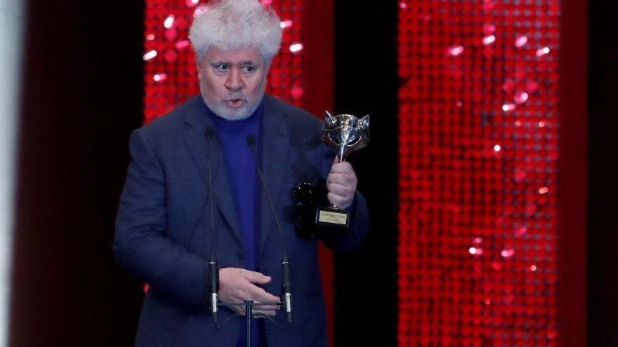 &quot;Dolor y gloria&quot; de Almodóvar arrasa con seis premios Feroz