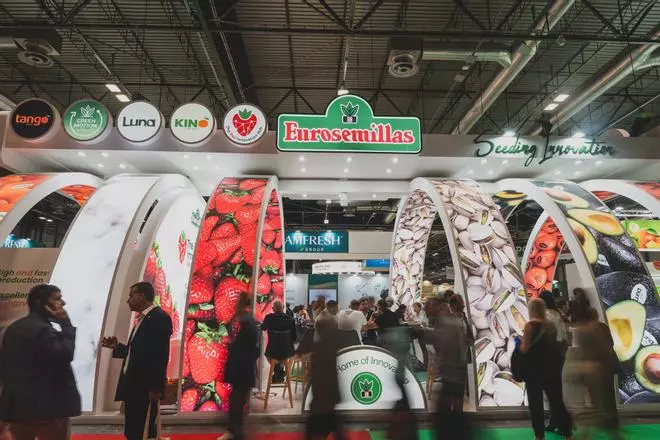 Más allá del olivo: el sector agroalimentario cordobés se diversifica con el cultivo de mandarinas, pistachos y aguacates