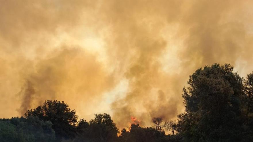 Crema sense control un incendi a peu de les Gavarres a la Bisbal