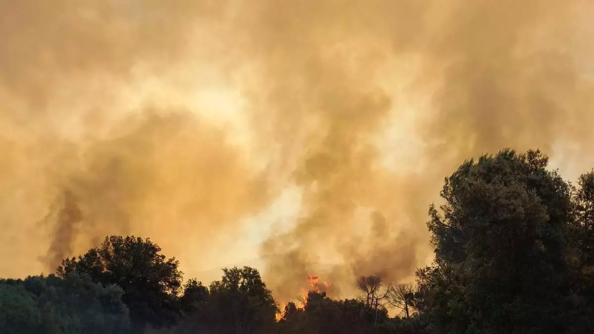 Un incendio de vegetación en La Bisbal d’Empordà ha movilizado un amplio dispositivo de emergencias