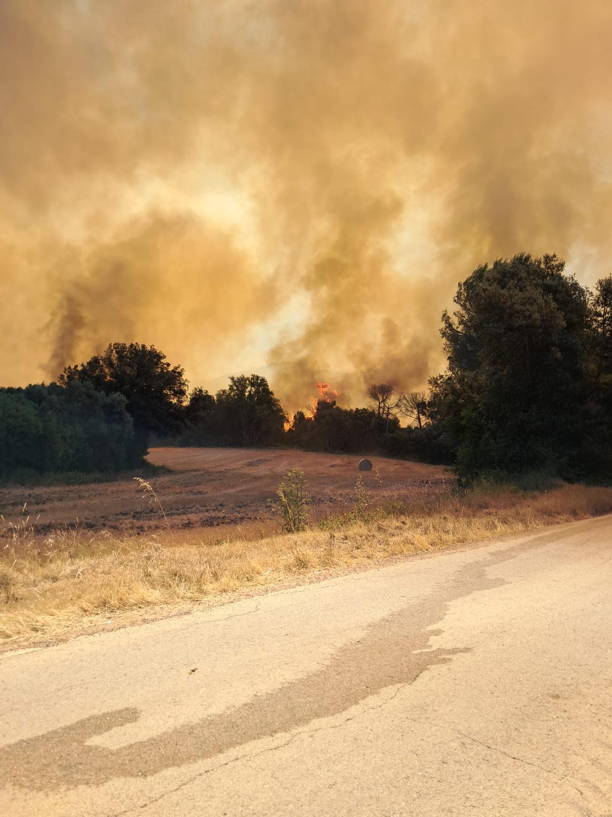 Crema sense control un incendi forestal a peu de les Gavarres a la Bisbal Crema sense control un incendi forestal a peu de les Gavarres a la Bisbal