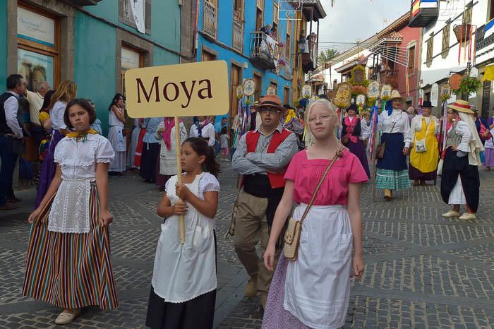 Carretas y grupos en la romería del Pino