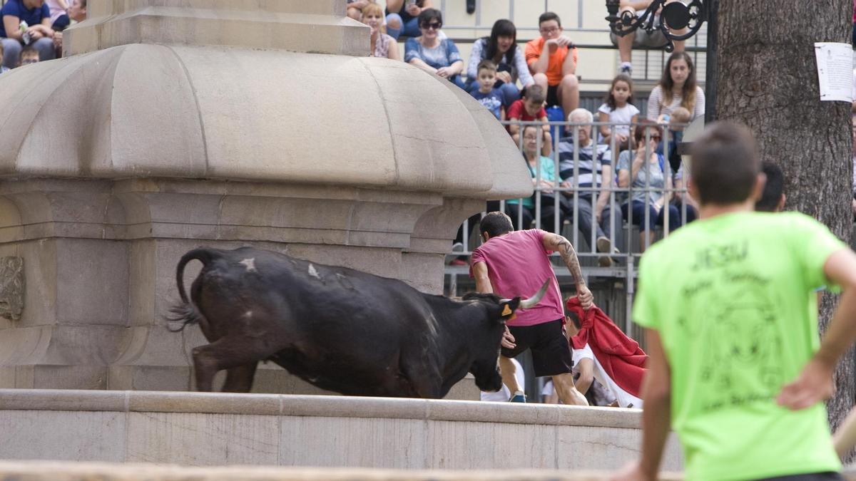 Un toro sube a la fuente de la plaza principal de Enguera en els «bous al carrer».